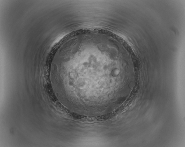 X0000112090871200908041448