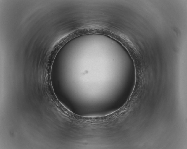 X0000112090872200908041448