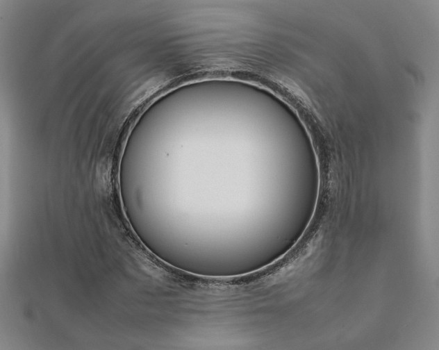 X0000112090873200908041448