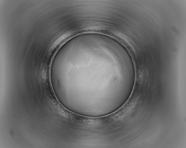 X0000112090874200908041448