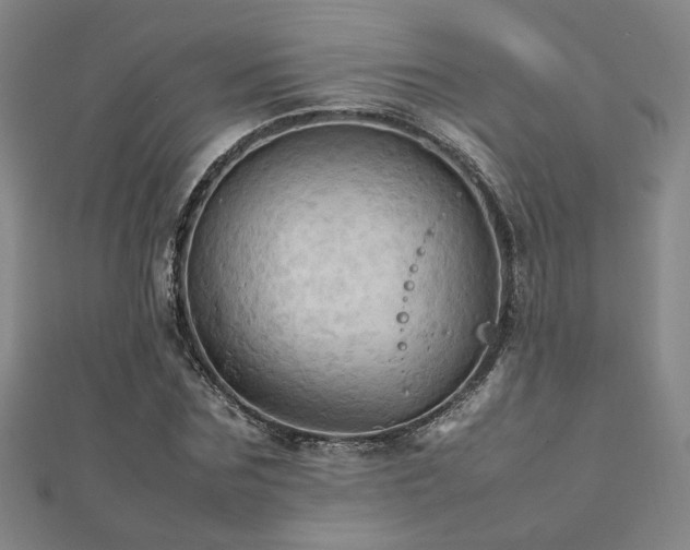 X0000112090875200908041448