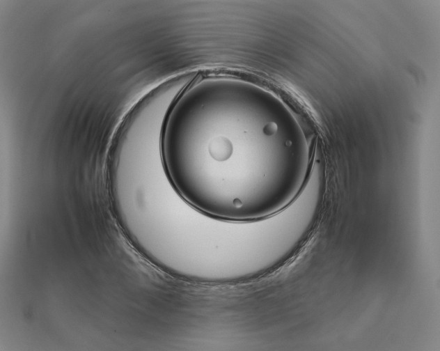 X0000112090876200908041448