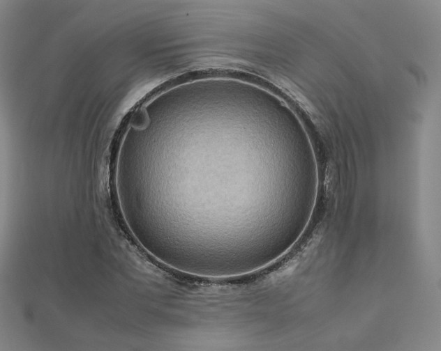 X0000112090877200908041448