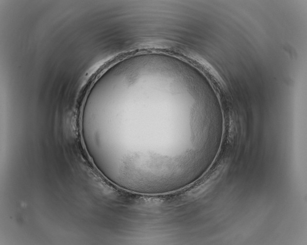 X0000112090878200908041448