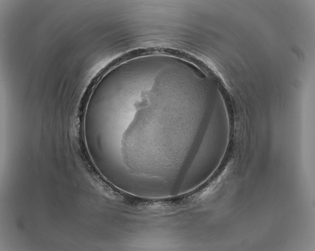 X0000112090879200908041448