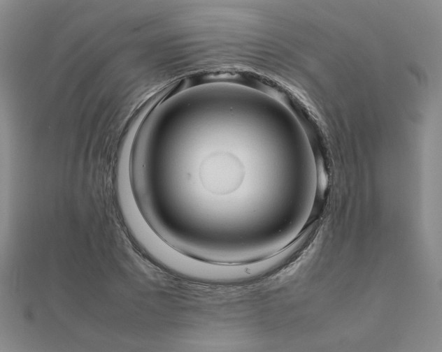 X0000112090881200908041448