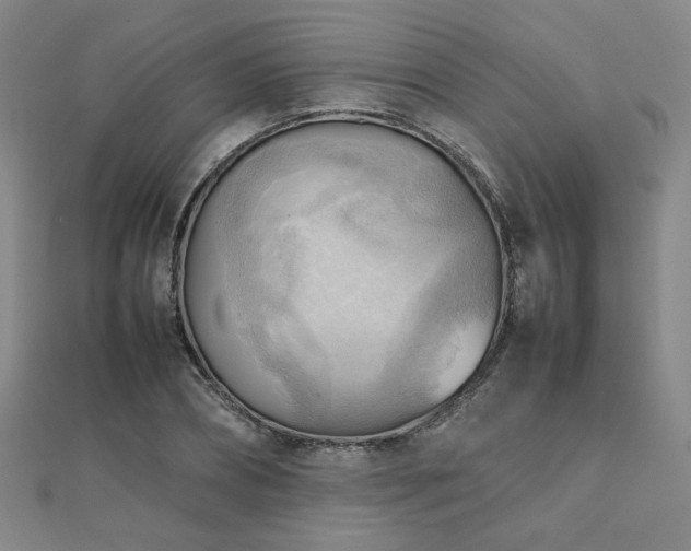 X0000112090882200908041448