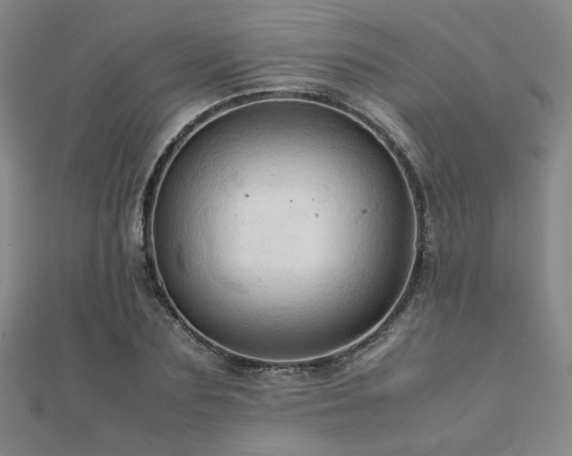 X0000112090883200908041448