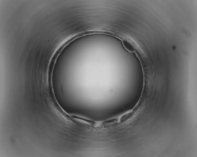 X0000112090884200908041448