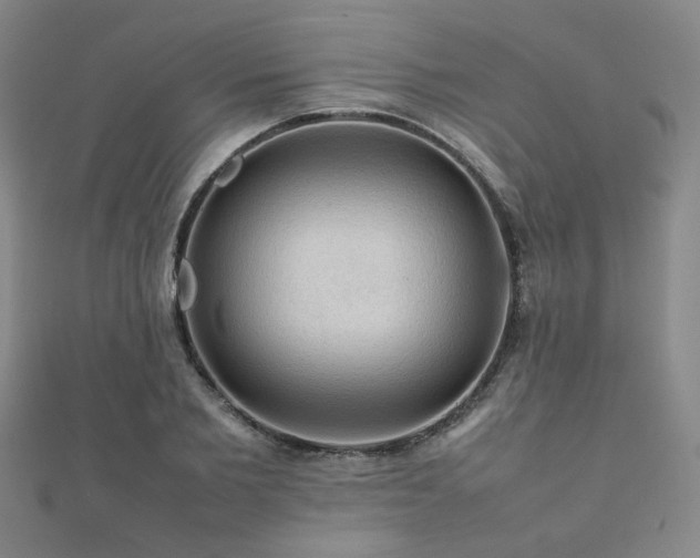 X0000112090885200908041448
