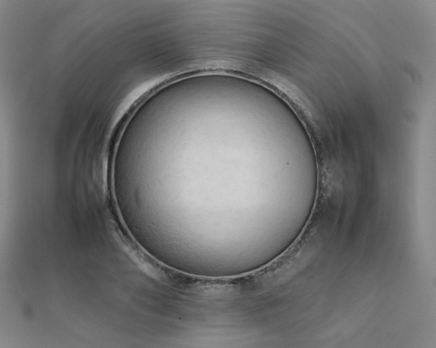 X0000112090886200908041448