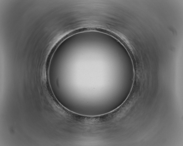 X0000112090887200908041448