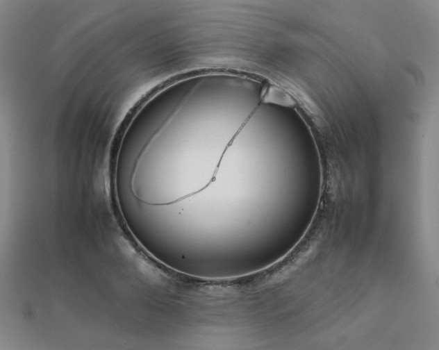 X0000112090888200908041448