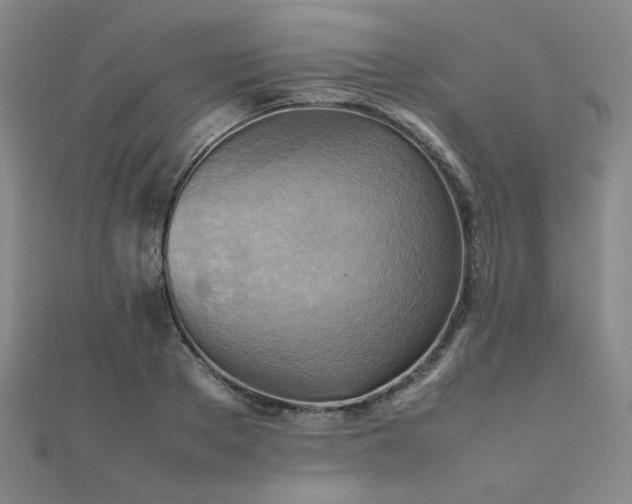X0000112090889200908041448