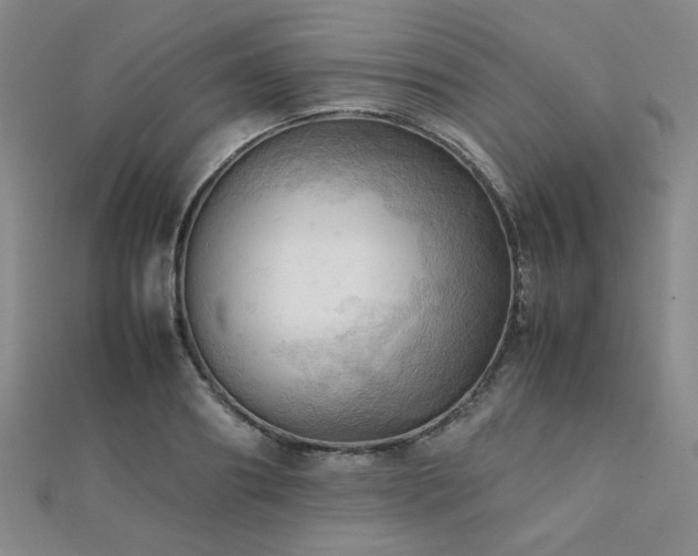 X0000112090890200908041448