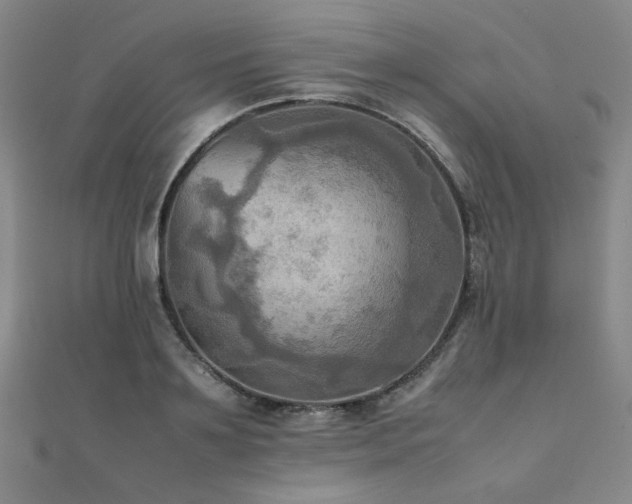 X0000112090891200908041448