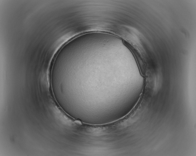 X0000112090892200908041448