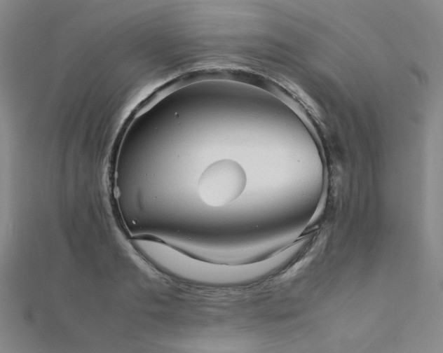 X0000112090893200908041448