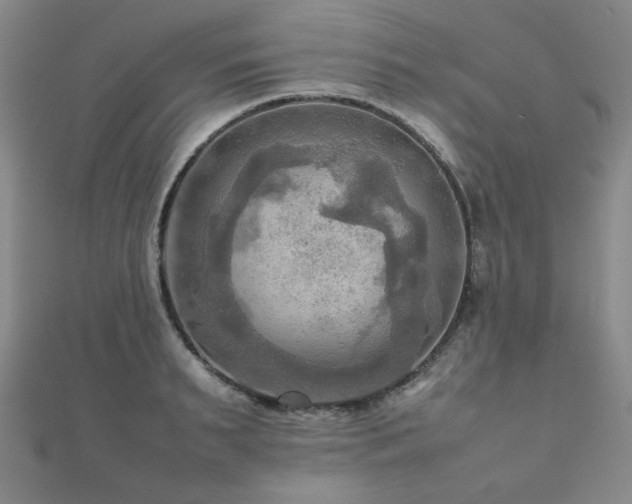 X0000112090895200908041448