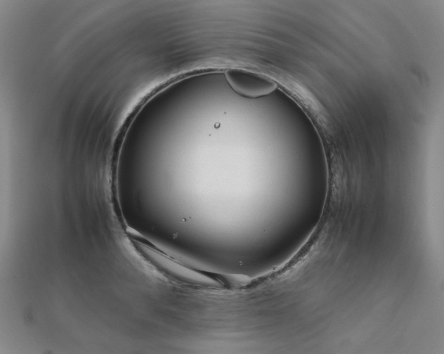 X0000112090896200908041448