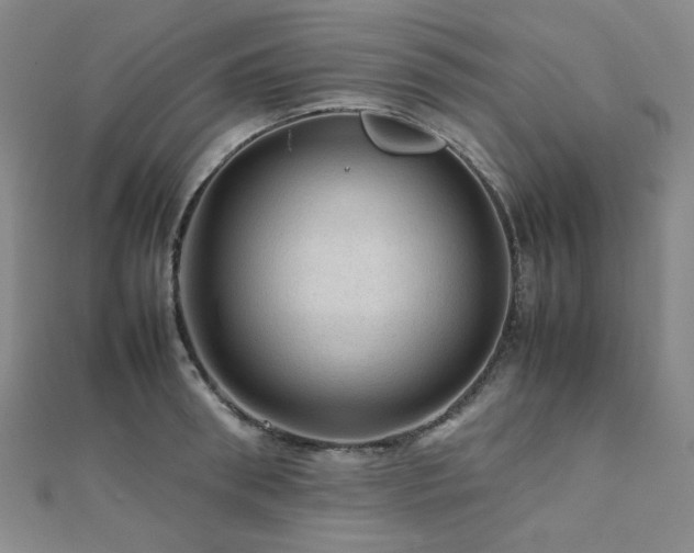 X0000112090898200908041447