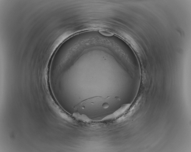 X0000112090899200908041447