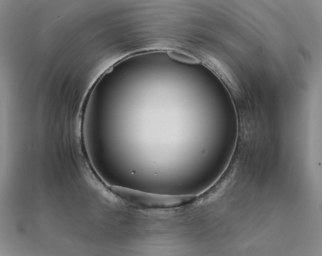 X0000112090900200908041447