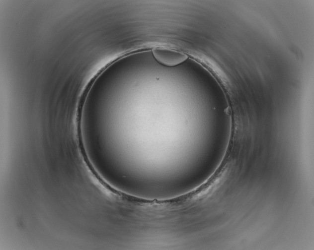 X0000112090902200908041447