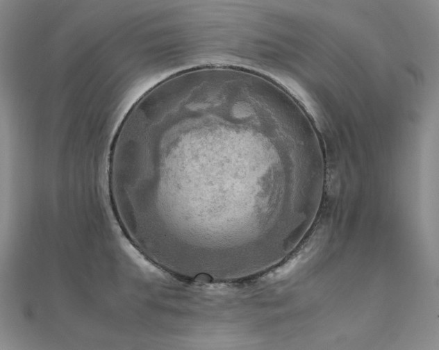 X0000112090903200908041447