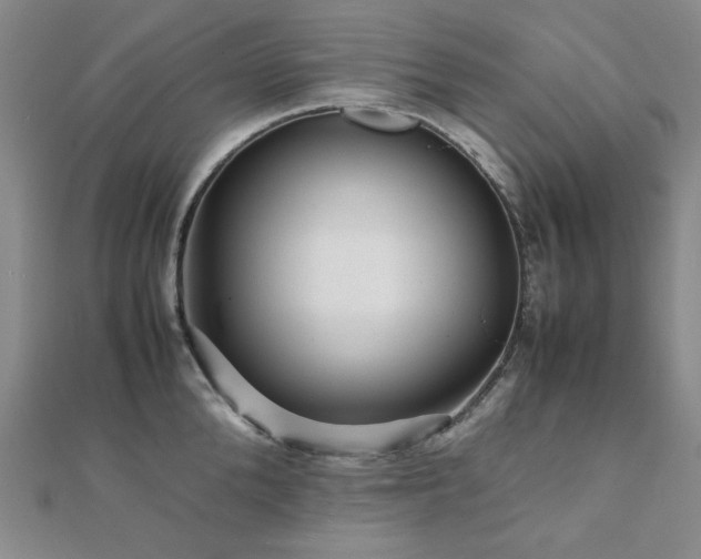 X0000112090904200908041447