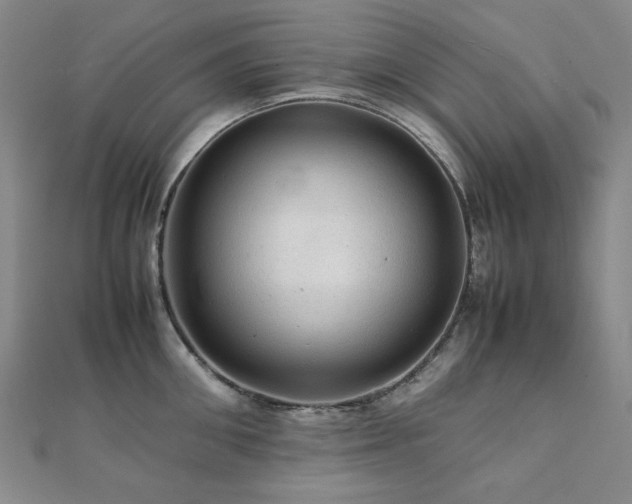 X0000112090906200908041447
