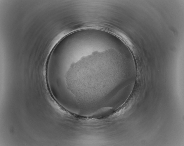 X0000112090907200908041447