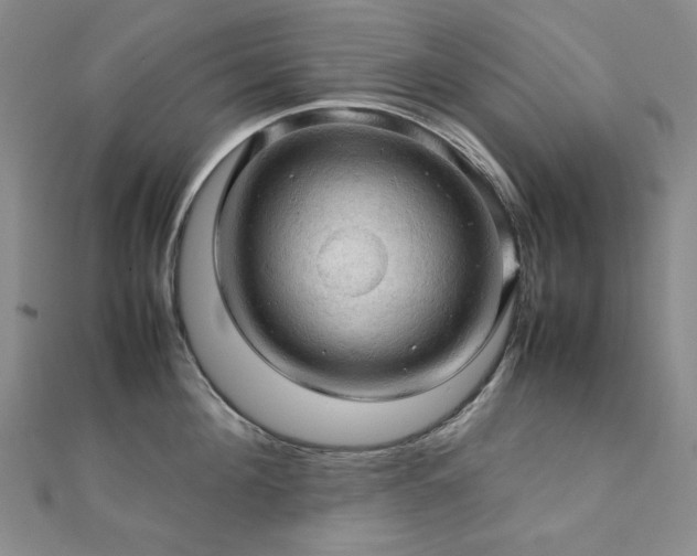 X0000112090908200908041447