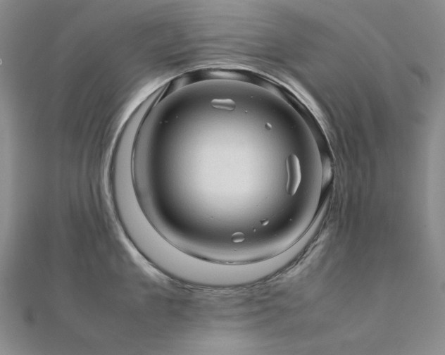 X0000112090909200908041447