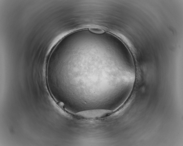 X0000112090910200908041447