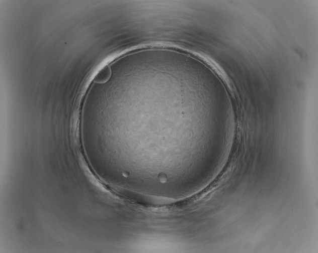 X0000112090911200908041447