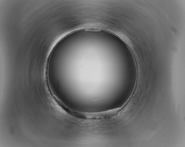 X0000112090912200908041447