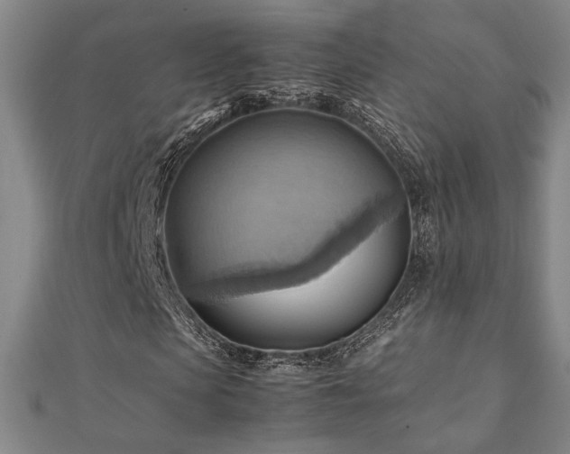 X0000112090913200908041447