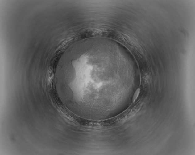 X0000112090914200908041447