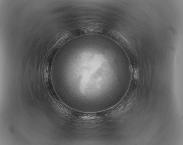 X0000112090915200908041447