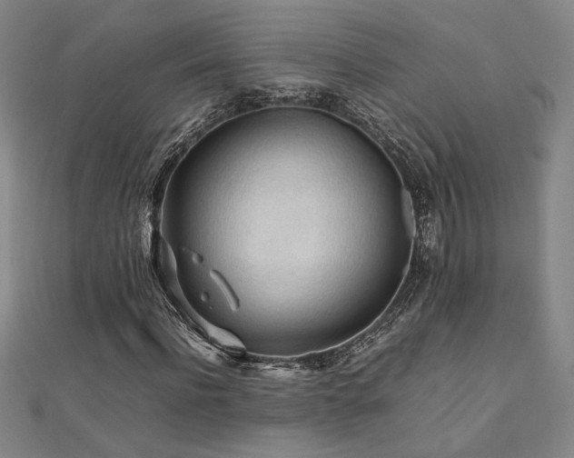 X0000112090916200908041447
