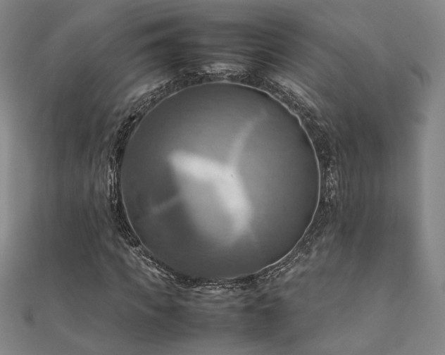 X0000112090917200908041447