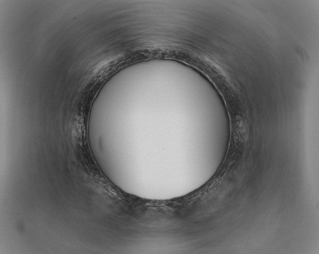 X0000112090918200908041447
