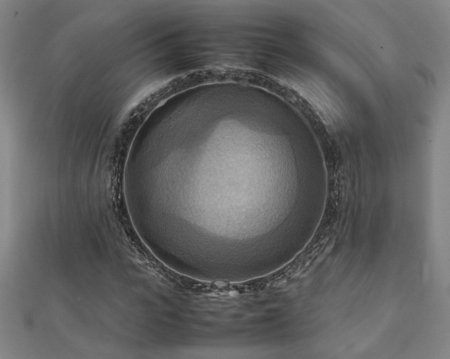 X0000112090919200908041447