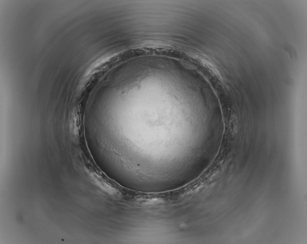 X0000112090920200908041447