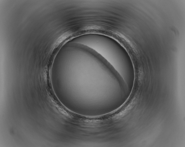 X0000112090921200908041447