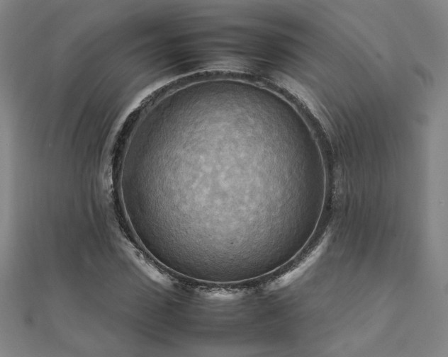 X0000112090923200908041447