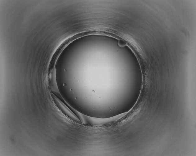 X0000112090924200908041447
