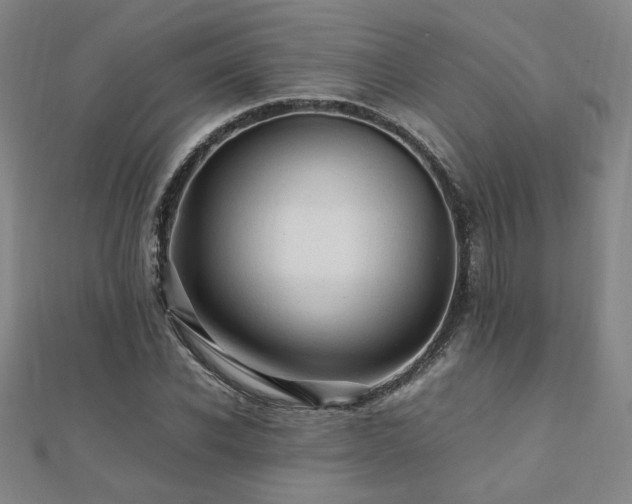 X0000112090926200908041447