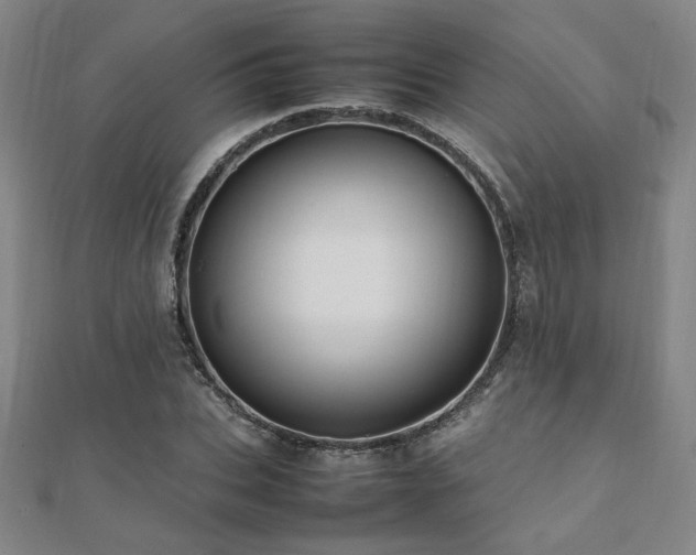 X0000112090927200908041447